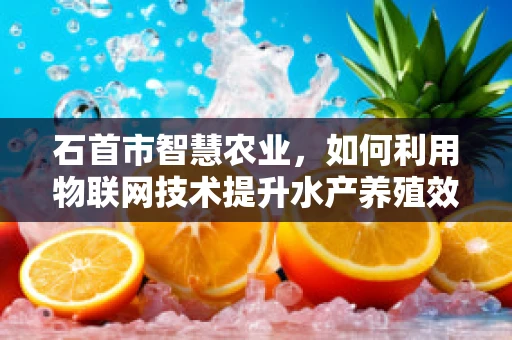 石首市智慧农业，如何利用物联网技术提升水产养殖效率？