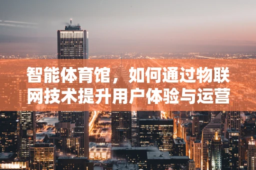 智能体育馆，如何通过物联网技术提升用户体验与运营效率？