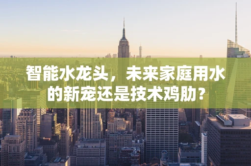 智能水龙头，未来家庭用水的新宠还是技术鸡肋？