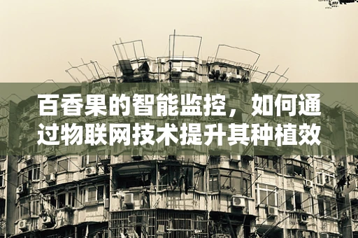百香果的智能监控，如何通过物联网技术提升其种植效率？