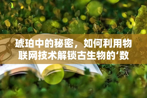 琥珀中的秘密，如何利用物联网技术解锁古生物的‘数字档案’？