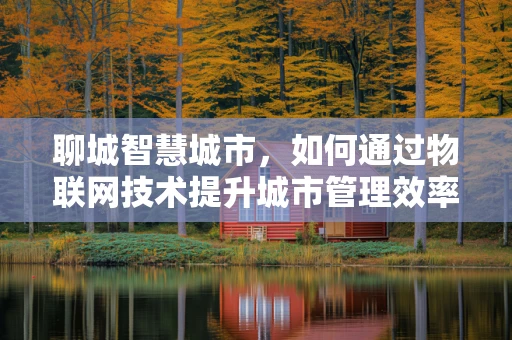 聊城智慧城市，如何通过物联网技术提升城市管理效率？