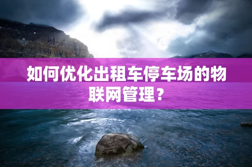 如何优化出租车停车场的物联网管理？