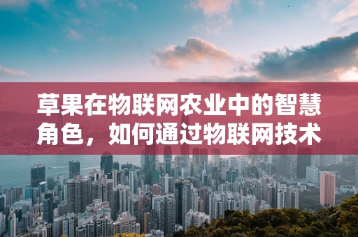 草果在物联网农业中的智慧角色，如何通过物联网技术提升草果种植的效率与质量？