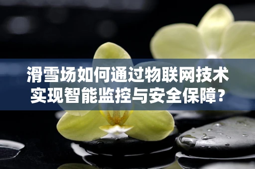 滑雪场如何通过物联网技术实现智能监控与安全保障？