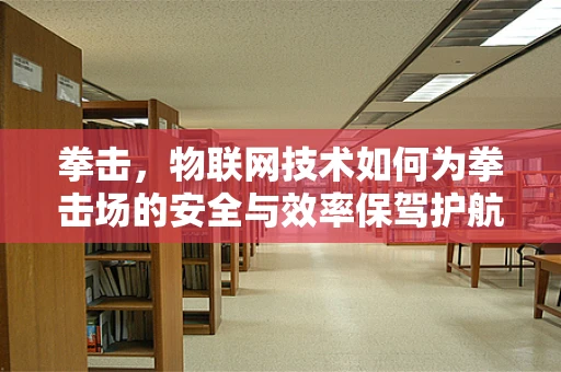 拳击，物联网技术如何为拳击场的安全与效率保驾护航？