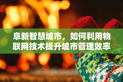 阜新智慧城市，如何利用物联网技术提升城市管理效率？