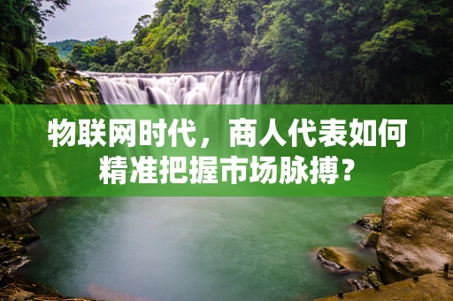 物联网时代，商人代表如何精准把握市场脉搏？