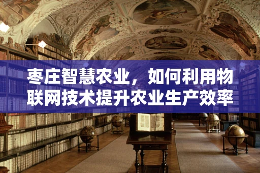 枣庄智慧农业，如何利用物联网技术提升农业生产效率？