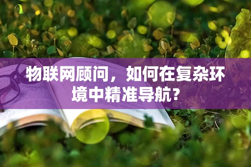 物联网顾问，如何在复杂环境中精准导航？
