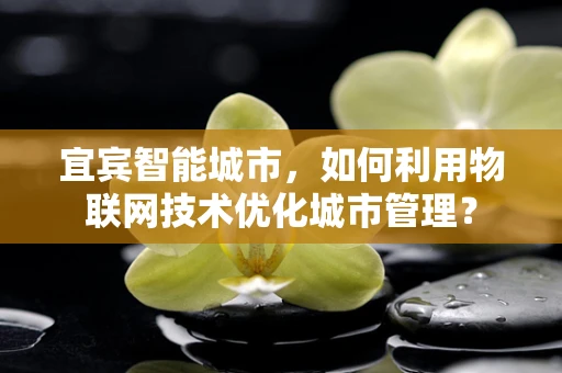 宜宾智能城市，如何利用物联网技术优化城市管理？