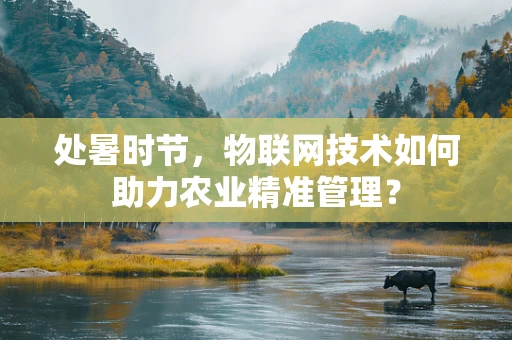 处暑时节，物联网技术如何助力农业精准管理？