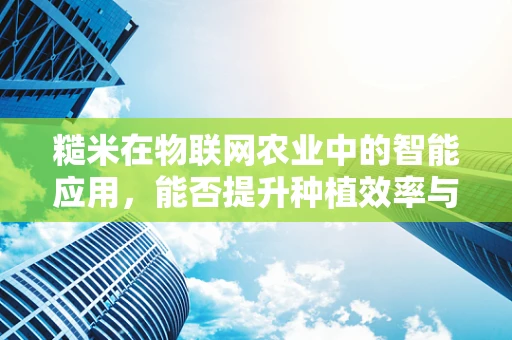 糙米在物联网农业中的智能应用，能否提升种植效率与品质？