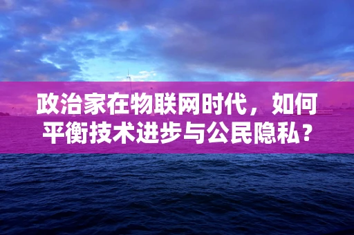 政治家在物联网时代，如何平衡技术进步与公民隐私？