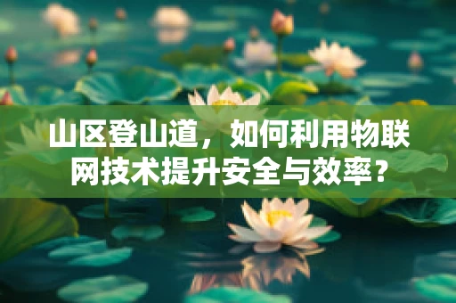 山区登山道，如何利用物联网技术提升安全与效率？