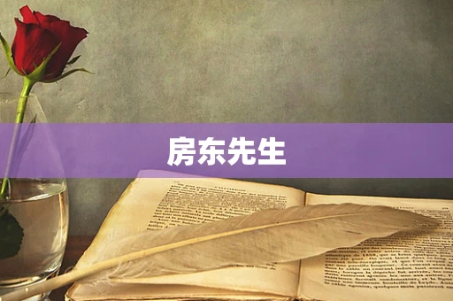 房东先生