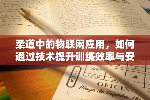 柔道中的物联网应用，如何通过技术提升训练效率与安全？