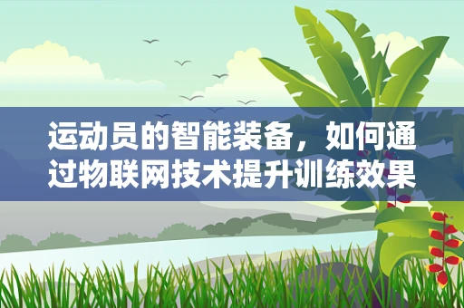 运动员的智能装备，如何通过物联网技术提升训练效果？