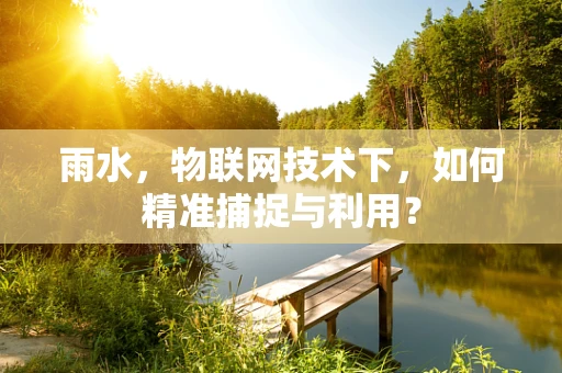 雨水，物联网技术下，如何精准捕捉与利用？