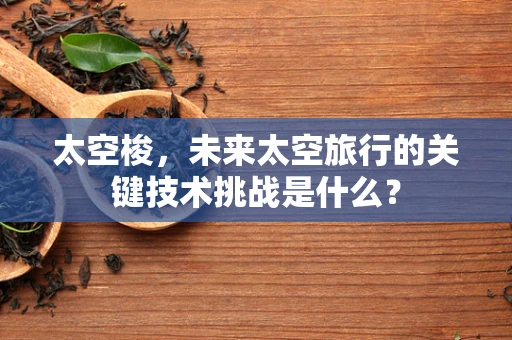 太空梭，未来太空旅行的关键技术挑战是什么？