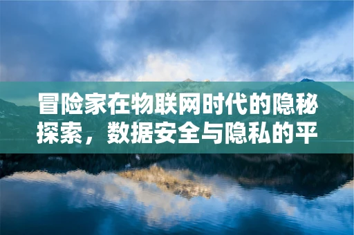 冒险家在物联网时代的隐秘探索，数据安全与隐私的平衡点何在？