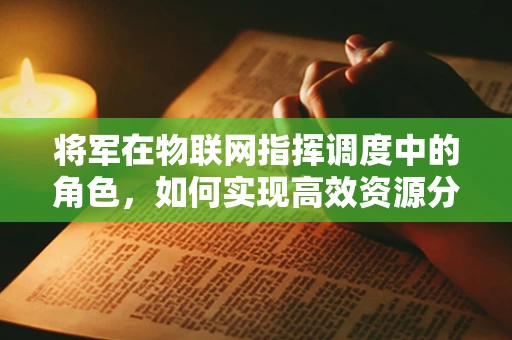 将军在物联网指挥调度中的角色，如何实现高效资源分配与决策？