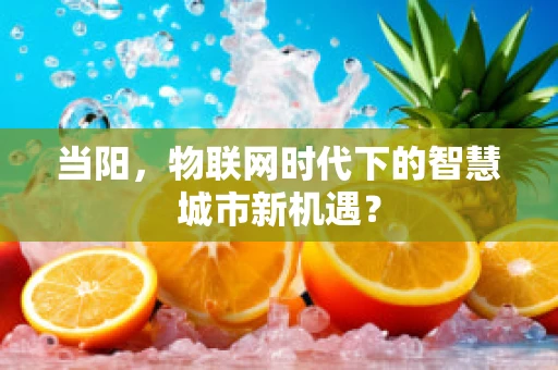 当阳，物联网时代下的智慧城市新机遇？