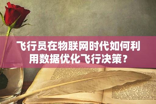 飞行员在物联网时代如何利用数据优化飞行决策？