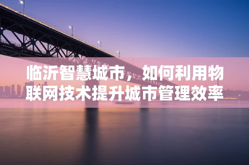 临沂智慧城市，如何利用物联网技术提升城市管理效率？