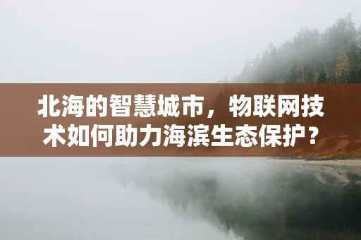 北海的智慧城市，物联网技术如何助力海滨生态保护？