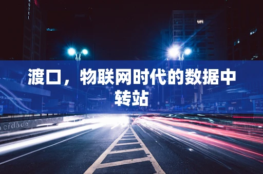 渡口，物联网时代的数据中转站