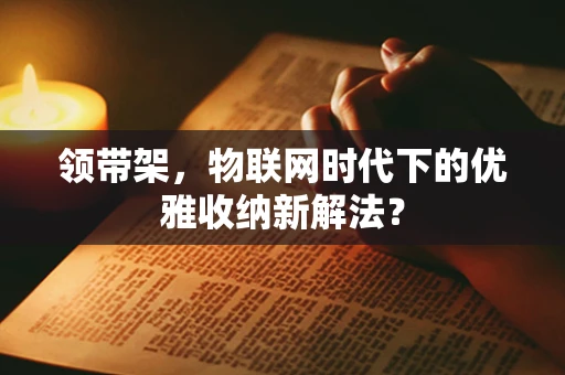 领带架，物联网时代下的优雅收纳新解法？
