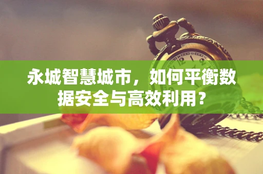 永城智慧城市，如何平衡数据安全与高效利用？