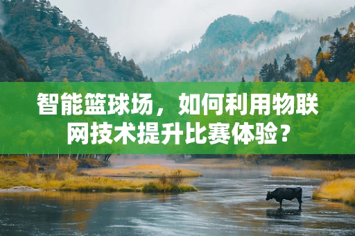 智能篮球场，如何利用物联网技术提升比赛体验？