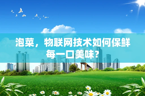 泡菜，物联网技术如何保鲜每一口美味？