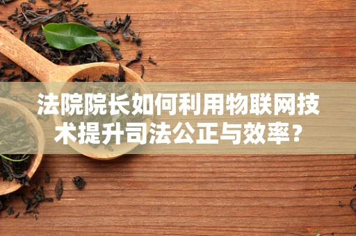 法院院长如何利用物联网技术提升司法公正与效率？