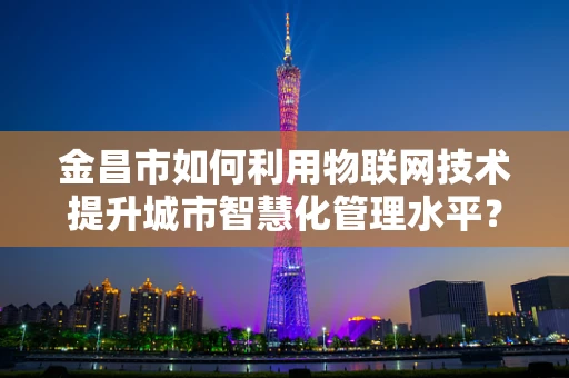 金昌市如何利用物联网技术提升城市智慧化管理水平？
