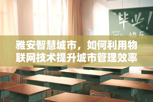 雅安智慧城市，如何利用物联网技术提升城市管理效率？