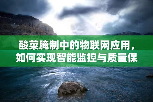 酸菜腌制中的物联网应用，如何实现智能监控与质量保障？