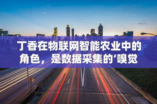 丁香在物联网智能农业中的角色，是数据采集的‘嗅觉侦探’吗？