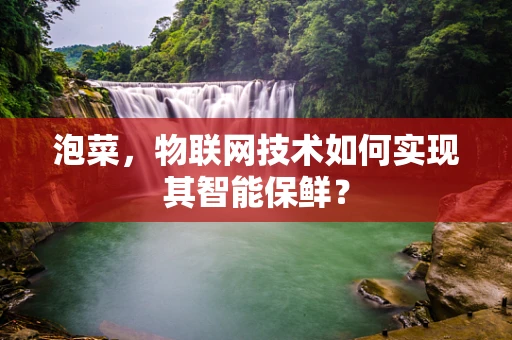 泡菜，物联网技术如何实现其智能保鲜？