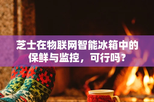 芝士在物联网智能冰箱中的保鲜与监控，可行吗？