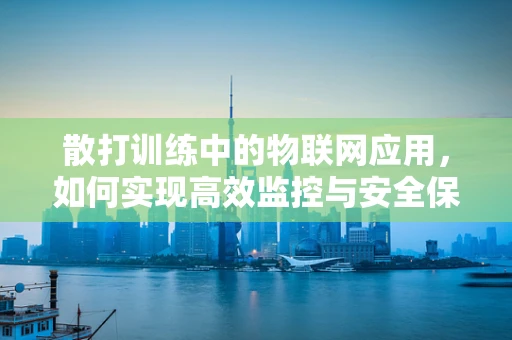 散打训练中的物联网应用，如何实现高效监控与安全保障？