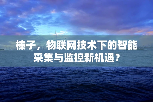 榛子，物联网技术下的智能采集与监控新机遇？