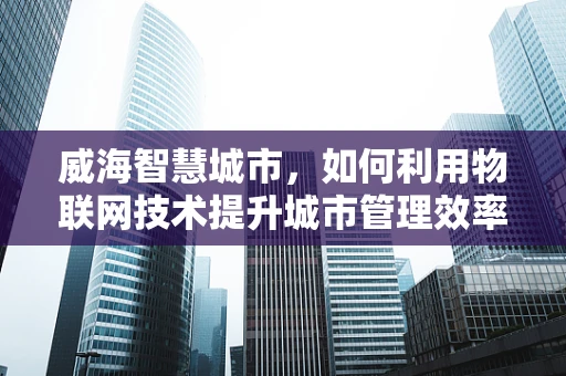 威海智慧城市，如何利用物联网技术提升城市管理效率？