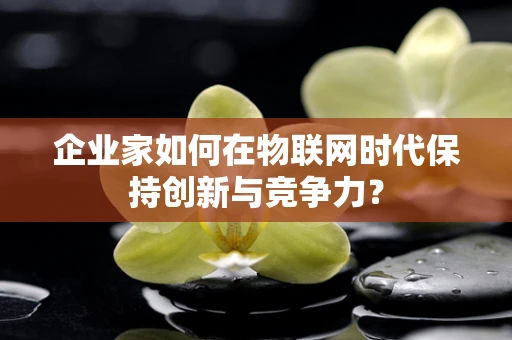企业家如何在物联网时代保持创新与竞争力？
