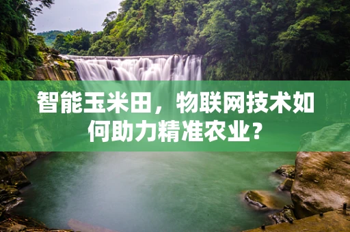 智能玉米田，物联网技术如何助力精准农业？