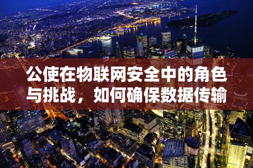 公使在物联网安全中的角色与挑战，如何确保数据传输的‘信使’安全无虞？