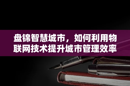 盘锦智慧城市，如何利用物联网技术提升城市管理效率？