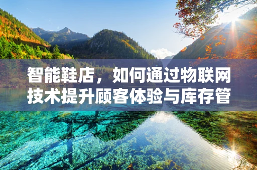 智能鞋店，如何通过物联网技术提升顾客体验与库存管理？